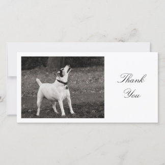 Tarjeta De Agradecimiento Perro Agog - Gracias