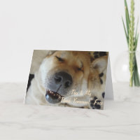 perro akita japonés gracioso sonriendo gracias