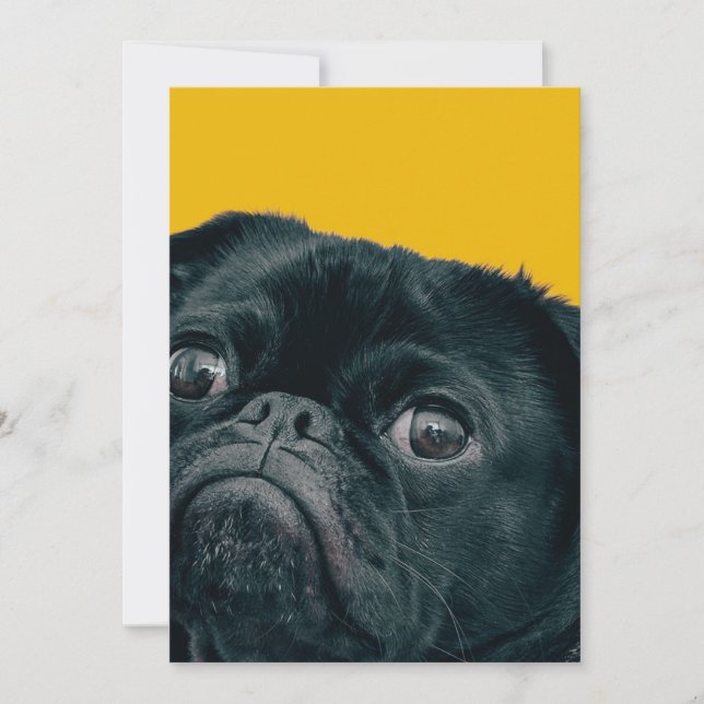 Tarjeta De Agradecimiento perro amarillo (Anverso)