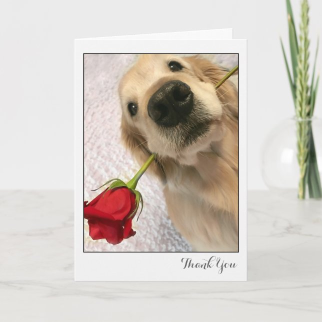 Tarjeta De Agradecimiento Perro de Golden Retriever con Rosa Roja Gracias (Anverso)