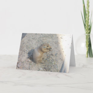 Tarjeta de agradecimiento "Perro de la pradera #2"