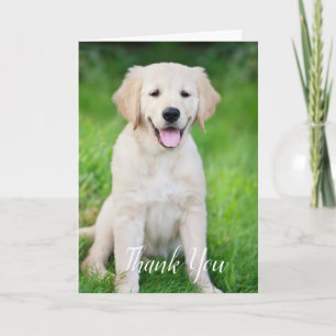 Tarjeta De Agradecimiento Perro de Mascota Personalizado Simple Foto Veterin