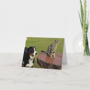 Tarjeta De Agradecimiento perro de montaña bernés con gato