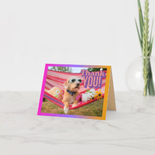 Tarjeta De Agradecimiento Perro En Vacaciones En Hammock Mascota Cuidador