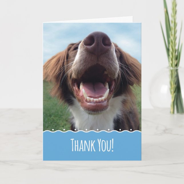 Tarjeta de agradecimiento, perro feliz con sonrisa (Anverso)