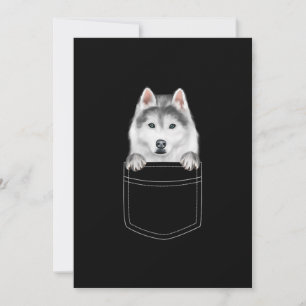 Tarjeta De Agradecimiento Perro Husky Siberiano En El Bolsillo  Gracioso reg