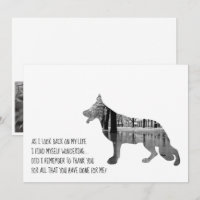 Perro pastor alemán negro