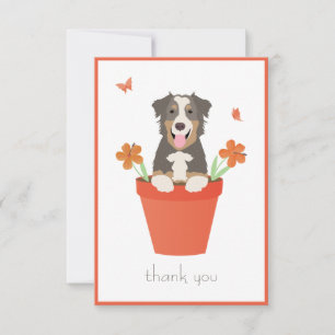 Tarjeta De Agradecimiento Perro pastor australiano en maceta de flores