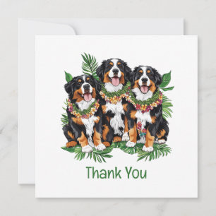 Tarjeta De Agradecimiento Perros Hawaianos de Montaña de Berna Gracias