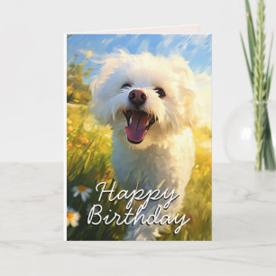 Tarjeta De Agradecimiento Personalizado Bichon Frise Birthday Card