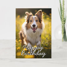 Personalizado Collie Happy Birday Card
