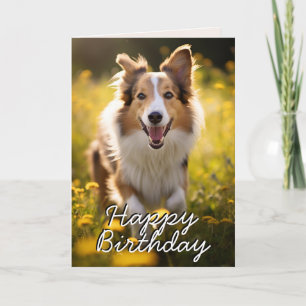 Tarjeta De Agradecimiento Personalizado Collie Happy Birday Card