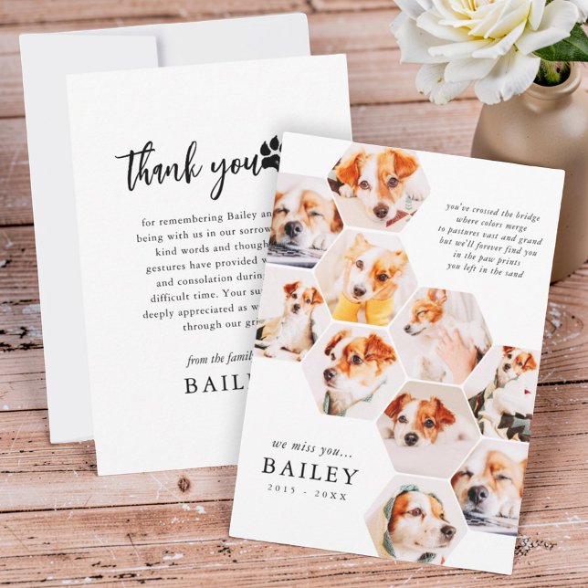 Tarjeta De Agradecimiento Pet Memorial Modern Simple 10 Photo Collage (Subido por el creador)