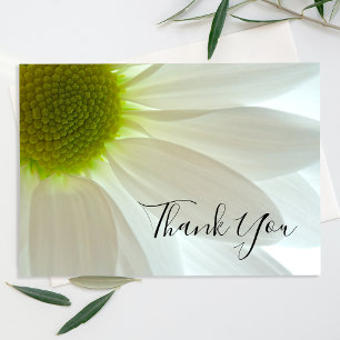 Tarjeta De Agradecimiento Pétalos de flores de margarita blanca gracias