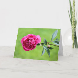 Tarjeta De Agradecimiento Pezón rosa brillante