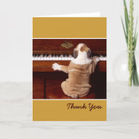 Pianista de cachorros gracias