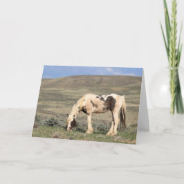 Tarjeta De Agradecimiento Picos de McCullough