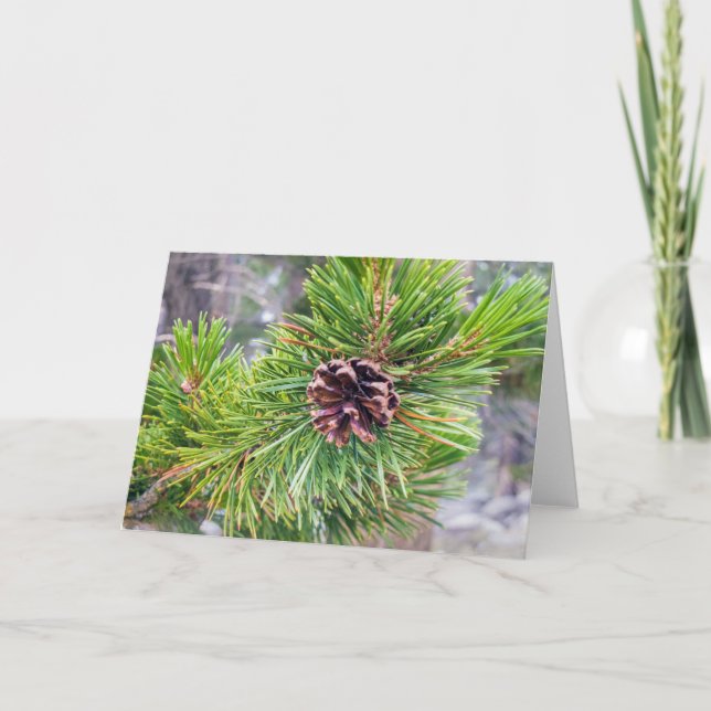 Tarjeta De Agradecimiento Pine Cone de Lodgepole Pine Note Card (Anverso)