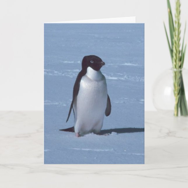 Tarjeta De Agradecimiento Pingüino solitario en la nieve (Anverso)