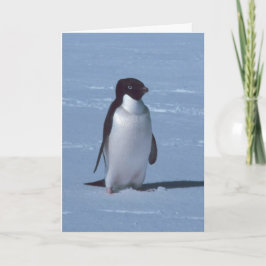 Tarjeta De Agradecimiento Pingüino solitario en la nieve