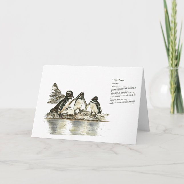 Tarjeta De Agradecimiento Pingüinos de impresión pintados a mano en peligro  (Anverso)