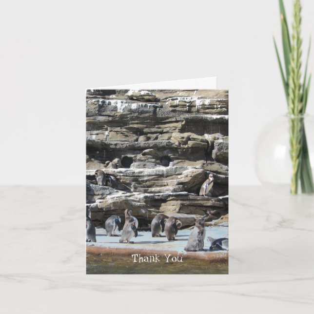 Tarjeta De Agradecimiento Pingüinos Gracias (Anverso)