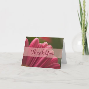 Tarjeta De Agradecimiento Pink Gerbera Daisy Gracias Cartas