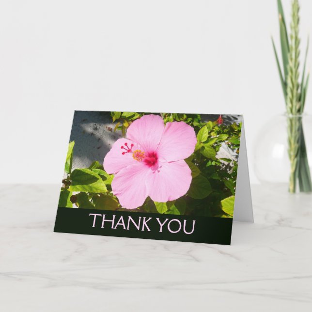 Tarjeta De Agradecimiento Pink Hibiscus Tropical Flower (Anverso)