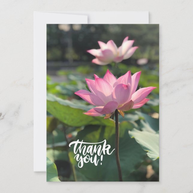 Tarjeta De Agradecimiento Pink Lotus Flower Gracias (Anverso)