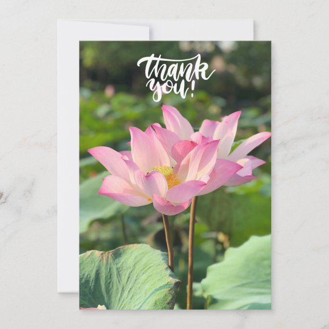 Tarjeta De Agradecimiento Pink Lotus Flower Gracias (Anverso)