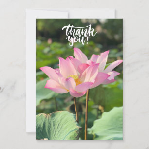 Tarjeta De Agradecimiento Pink Lotus Flower Gracias