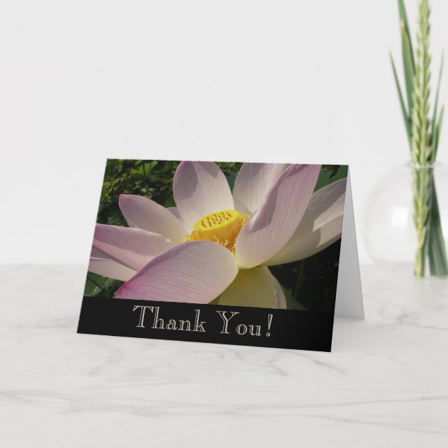 Tarjeta De Agradecimiento Pink Lotus Flower III Summer Floral (Anverso)