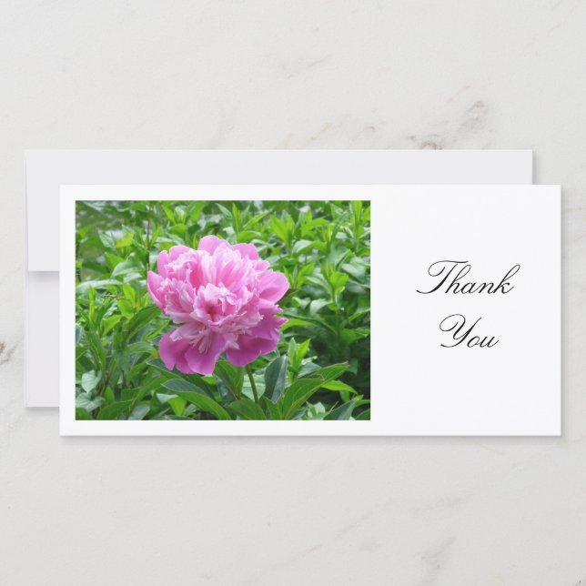 Tarjeta De Agradecimiento Pink Peony - Gracias (Anverso)