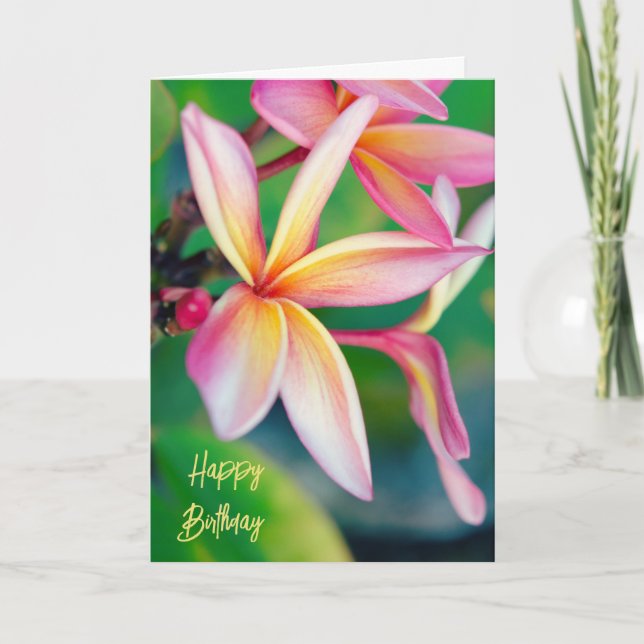 Tarjeta De Agradecimiento Pink Plumeria Happy Birday Card (Anverso)