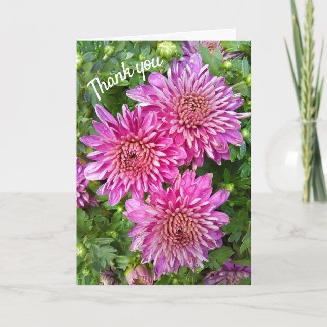 Tarjeta De Agradecimiento Pink-Purple Chrysanthemums with Raindrops (Anverso)