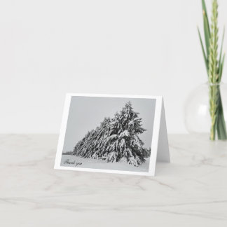 Tarjeta De Agradecimiento Pinos cubiertos de nieve