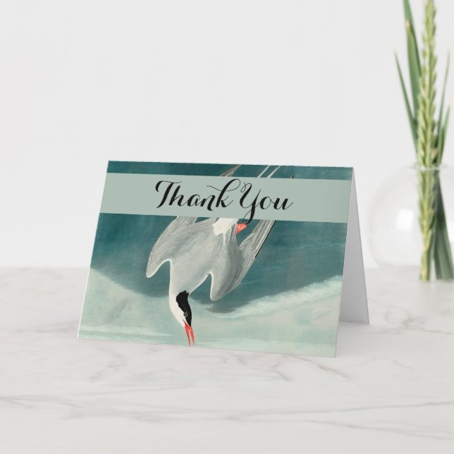 Tarjeta De Agradecimiento Pintado de vida silvestre del Ártico Tern Audubon (Anverso)