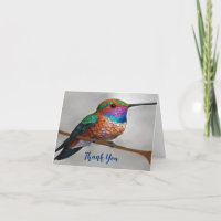 Pintura de colibrí de Vibrant Allen