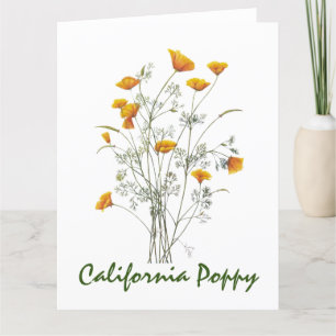 Tarjeta De Agradecimiento Pintura de color de la adormidera de California am