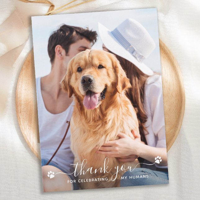 Tarjeta De Agradecimiento Pintura Imprime Boda de foto de Mascota personaliz (Subido por el creador)