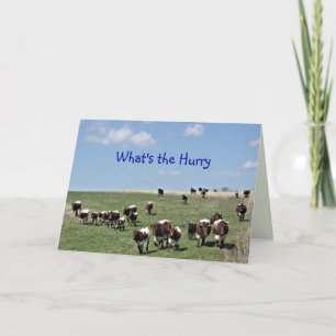 Tarjeta De Agradecimiento Pinzgauer Cattle Herd 8372 -personalizar en cualqu