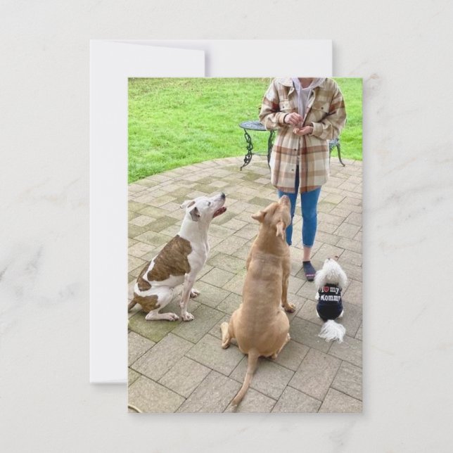 Tarjeta de agradecimiento plana de 3,5" x 5" (Anverso)