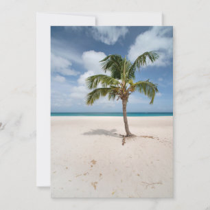 Tarjeta De Agradecimiento Playas tropicales Eagle Beach, Aruba