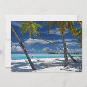 Tarjeta De Agradecimiento Playas tropicales   Sandy Beach, Maldivas