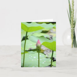 Tarjeta de agradecimiento plegada