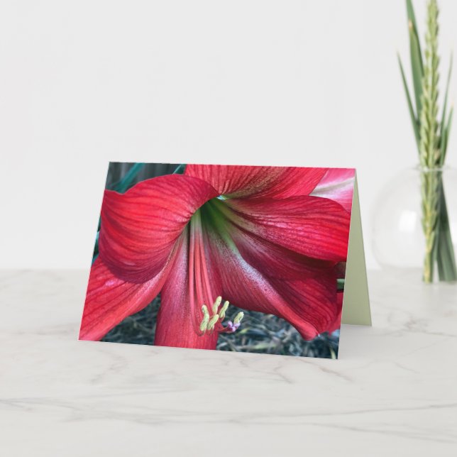 Tarjeta de agradecimiento plegada (Anverso)