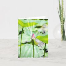 Tarjeta de agradecimiento plegada