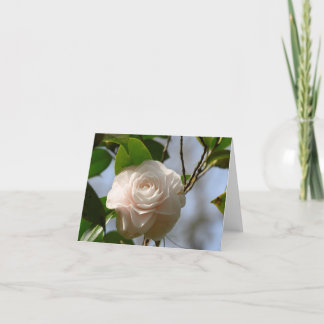 Tarjeta de agradecimiento plegada Camellia blanca