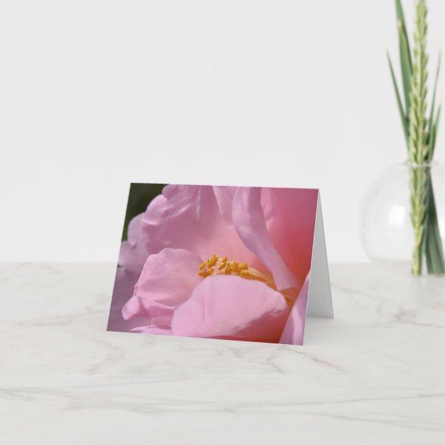 Tarjeta de agradecimiento plegada Camellia rosa (Anverso)