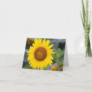 Tarjeta de agradecimiento plegada de girasol brill